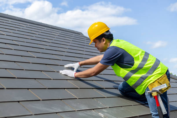 Best Roof Gutter Cleaning  in Erie, IL