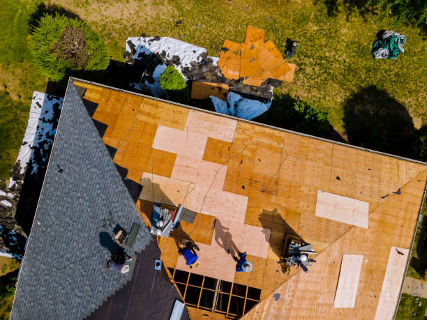Best Storm Damage Roof Repair  in Erie, IL