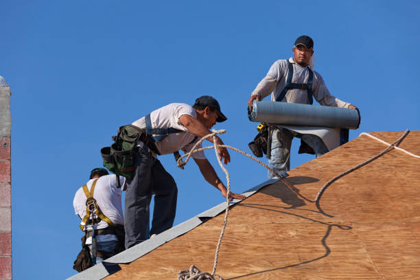 Best Commercial Roofing Services  in Erie, IL