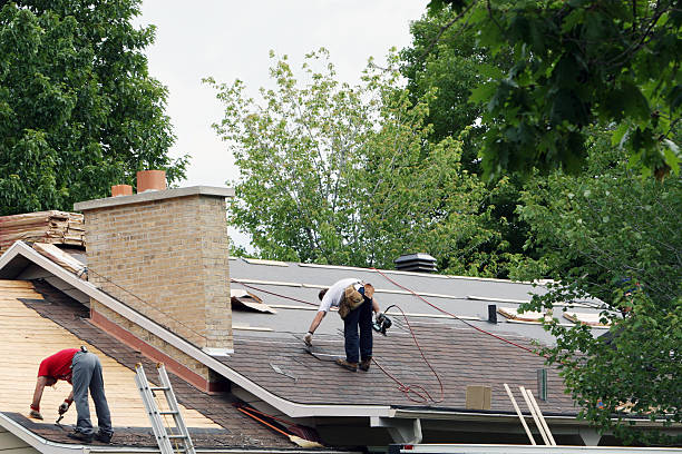 Best Roof Leak Repair  in Erie, IL