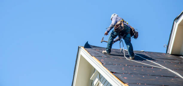 Professional Roofing Contractor in Erie, IL